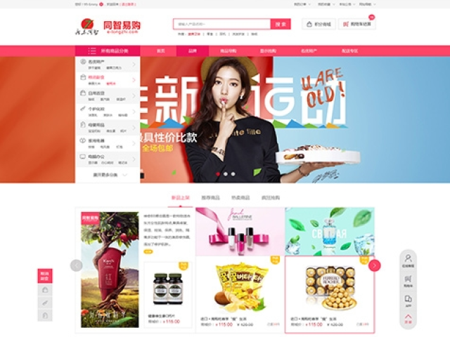廣東同智商貿(mào)有限公司網(wǎng)站建設項目